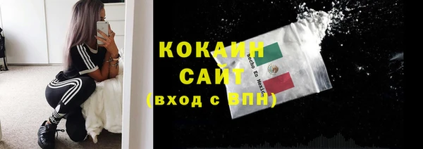 тгк Алексин