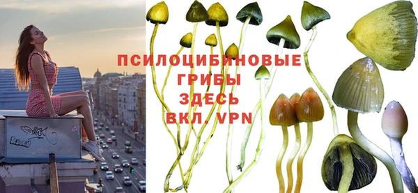 mdpv Алзамай