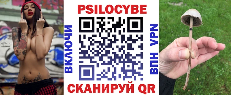 Псилоцибиновые грибы Psilocybe  Усинск 